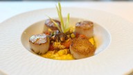 Fēniks opens in Southampton