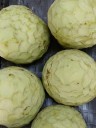 La cosecha de chirimoya espera alcanzar las 45.000 toneladas hasta mayo