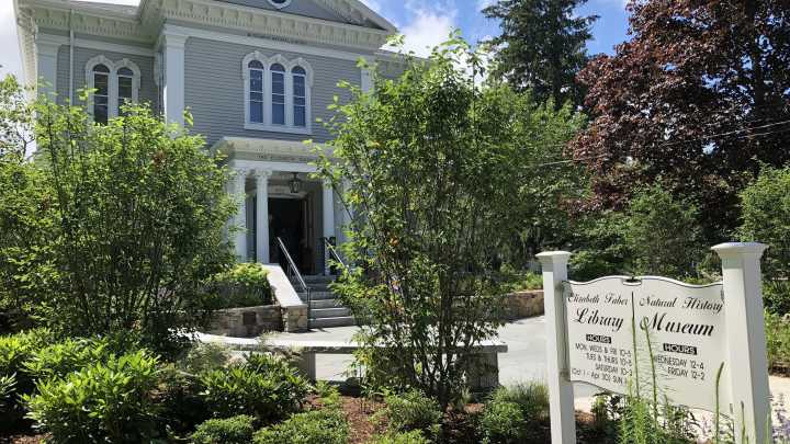 Elizabeth Taber Library posts October schedule