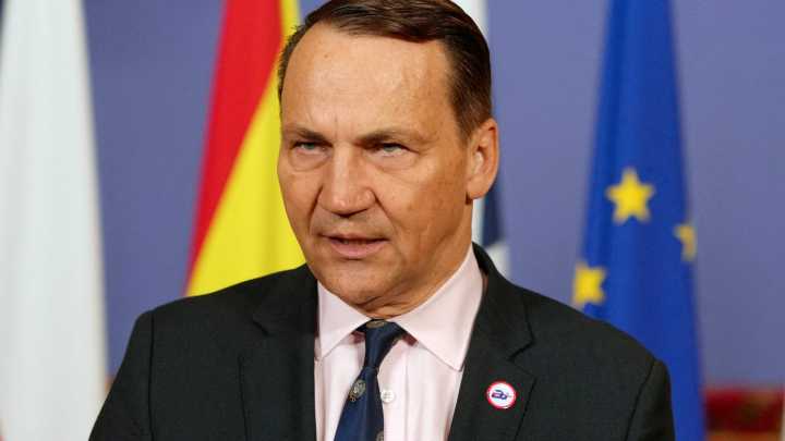 Poland calls for NATO-backed no-fly zone over Ukraine