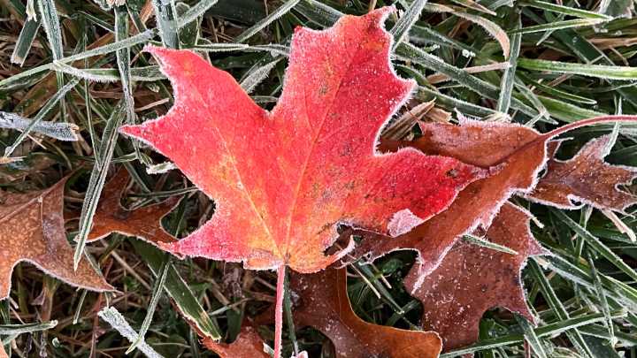 Can folklore forecast fall, winter weather in Mississippi? What to know