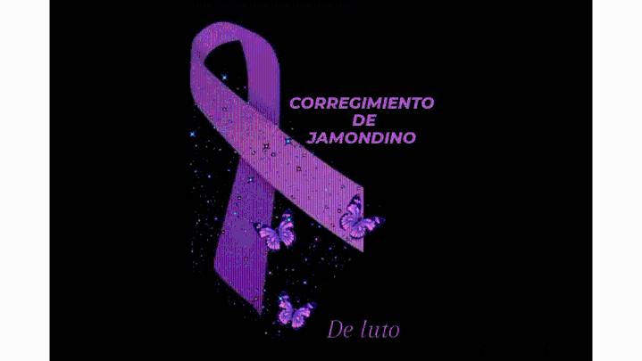 Alcaldía de Pasto rechaza feminicidio de María Isabel Marín Quiñones en Jamondino
