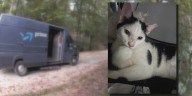 Owners of missing cat believe he jumped into Amazon delivery van: ‘We’re not blaming anybody’