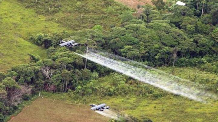 Certificación y fumigación: una semana crucial de la lucha antidrogas