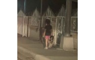 Deambulaba niña de 4 de madrugada con su perro