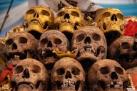 Unearthed Human Skull Suggests New Human Evolution Timeline