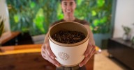 Garden party forever: Murphy signs bill to OK composting of human remains into soil