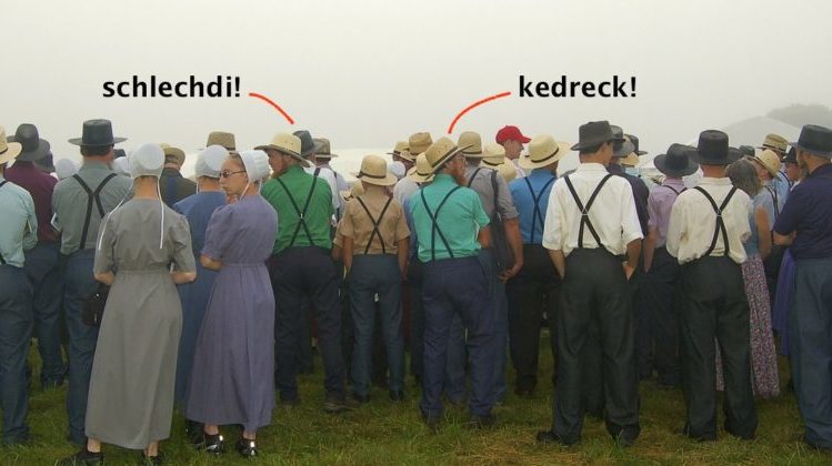 A Glossary of Pennsylvania Dutch Profanity