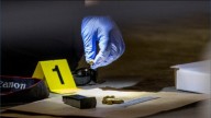 Forest Park police investigate triple shooting at basketball tournament