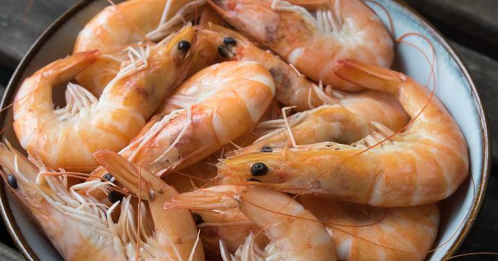 India To Host World Seafood Congress For The First Time In 2026