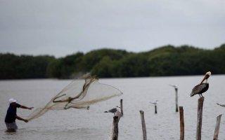 ¿Por qué el aumento del nivel del mar amenaza con desaparecer dos pueblos en Venezuela?