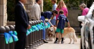 Hundreds mourn 8-year-old Fletcher Merkel, who was killed in a mass shooting at a Minneapolis church