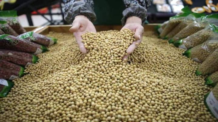 Trump’s Trade War Backfires: China Halts Soybean Imports, U.S. Farmers Face $12B Disaster
