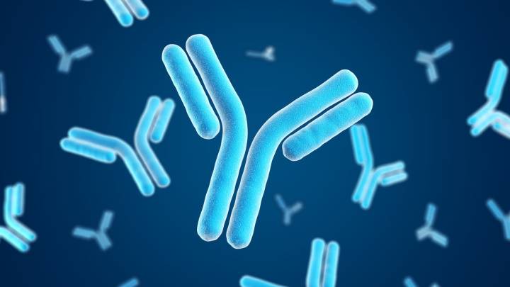 Bristol-Myers Squibb: Growth Portfolio Surpasses Legacy, Driving Oncology And Immunology Leadership (NYSE:BMY)