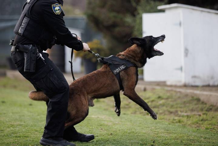 Opinion: A pending state bill would hide police misconduct records. It must die.