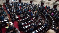 Diputados rechazaron los vetos de Milei al Garrahan y las universidades