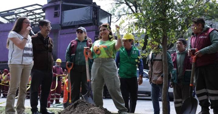 Retirará CDMX mil 500 palmeras muertas y las reemplazará con árboles nativos