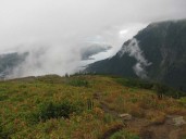 Texas man dies while on Alaskan cruise after falling from a trail during a hike, authorities say