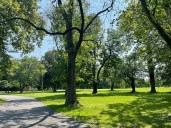 Next phase of renovations starts at Little Flower county park