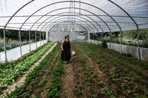 ‘Real’ Greek farmers fume over EU subsidies scandal