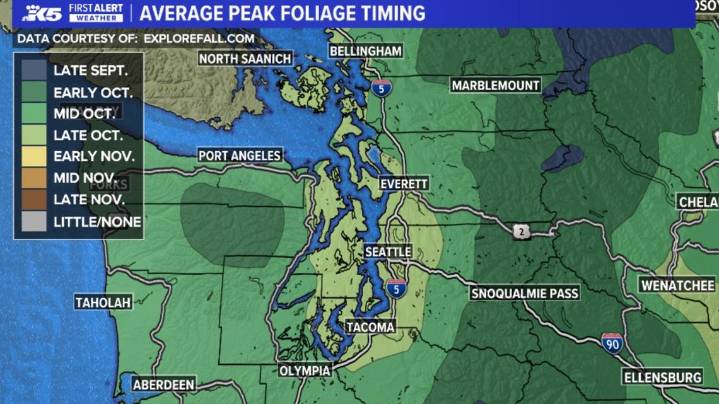 Here's when to view peak fall foliage in western Washington