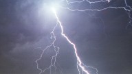 Missing Florida men, 2 dogs killed by apparent lightning strike: HCSO