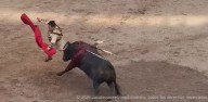 FUERTE VOLTERETA «AL PAPO»