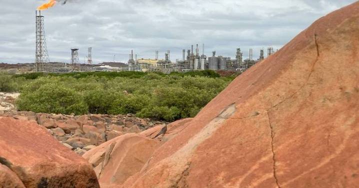 'Climate fail': huge gas project approval ignites fury
