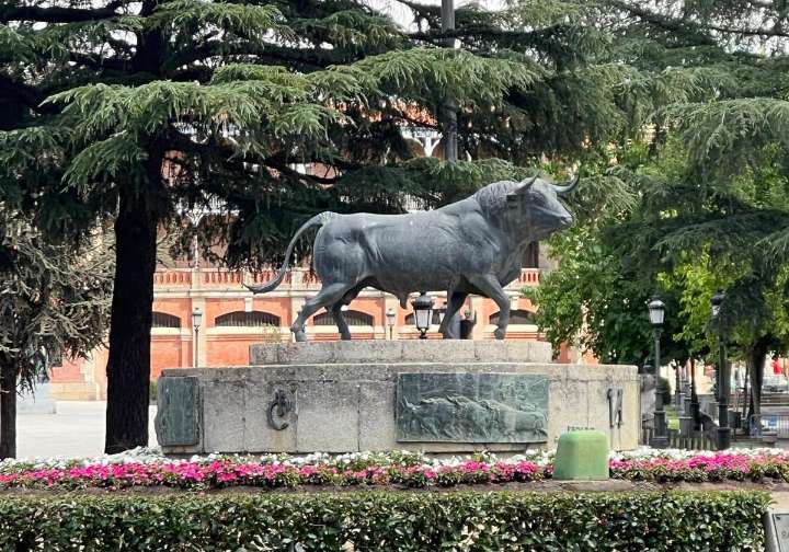 La multa múltiple por subirse a la estatua del toro junto a la plaza de Salamanca