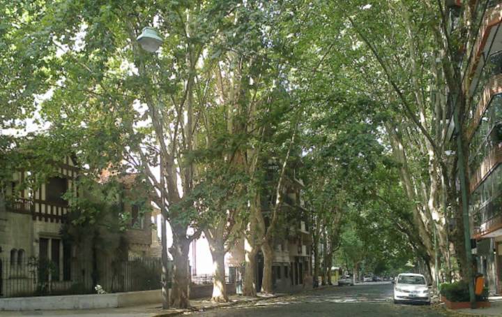 Propiedades. Quién se encarga de arreglar la vereda rota del frente de la casa