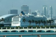 Más de 70 pasajeros de un crucero por EEUU enferman por brote de norovirus