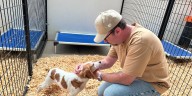 Rescue coalition prepared to step in at Dane County dog breeder