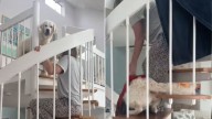 Florida Woman Notices Her Golden Retrievers’ Confusion Over Spiral Stairs And Creates An Incredible Fix