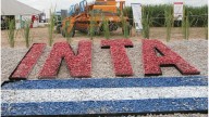 El Gobierno designó nuevas autoridades en el INTA y otros organismos