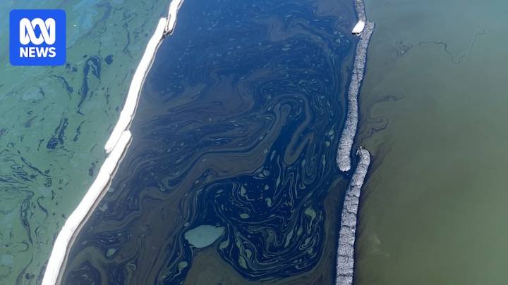 Clean-up underway after 'devastating' industrial spill in Far North Queensland