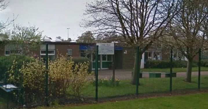School infestation horror as mice 'found in bags' and 'flies swarm Edinburgh building'