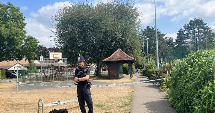 Boy, 15, admits raping teenage girl in horrific park attack