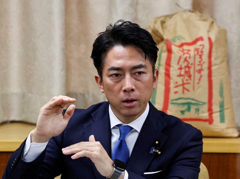 Japan's Koizumi, Hayashi run for leadership of ruling party