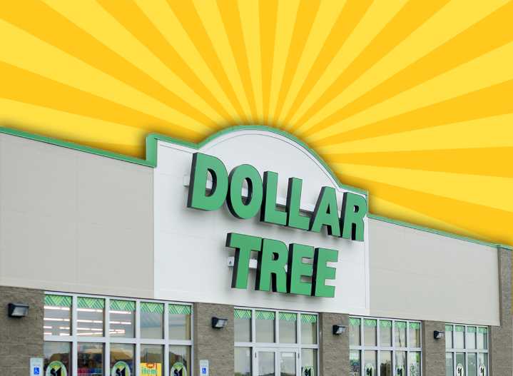 7 Dollar Tree Home Finds So Perfect Shoppers Keep Going Back for More