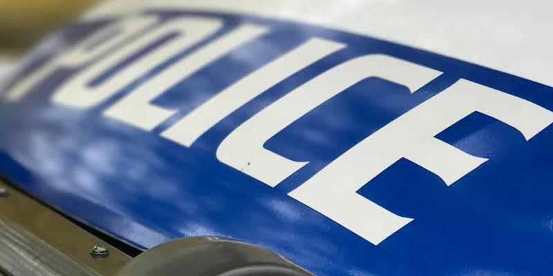 Domestic Squabble Leads to Two Arrests