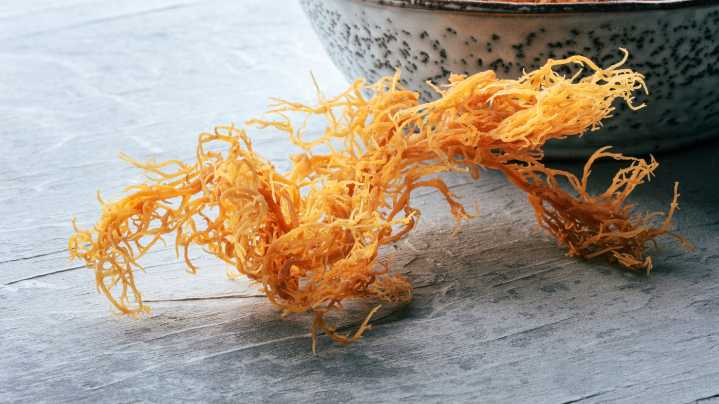 Sea moss is one of the latest social media superfoods. Does it work? : NPR