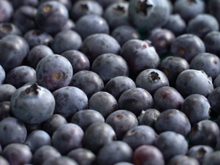 Nación Berries, impulso a la producción de arándano colombiano en el mundo
