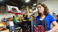 Este movimiento social en California busca ayudar a migrantes que temen a ICE: todo lo que debe saber