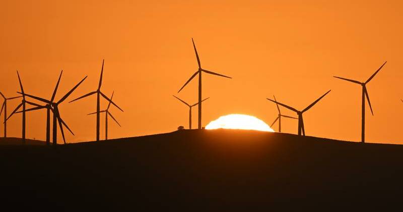 Big business seeks new dawn for environmental laws