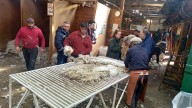 RENATRE Santa Cruz concretó operativos de fiscalización durante la temporada de esquila