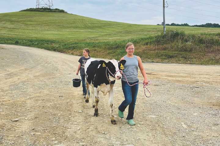 Brunton Dairy Looks to a Future of New Technology and Old