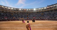 Ley antitaurina: el PSOE permite el debate para retirar la protección cultural a los toros