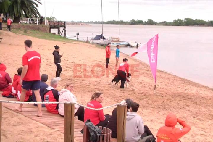 Capacitación en rescate acuático canino reunió a profesionales en Paraná