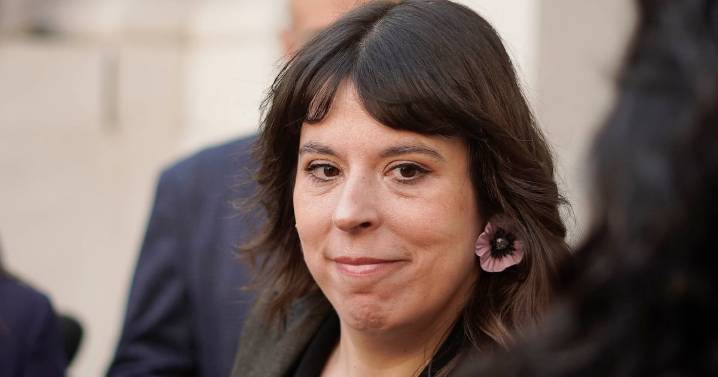 Tras rechazo en la Cámara: Martínez defiende apoyo del FA a voto obligatorio, pero marca que apuestan por una multa más baja