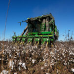 Georgia farmers will get $531M in Hurricane Helene aid, but the deal’s not done yet